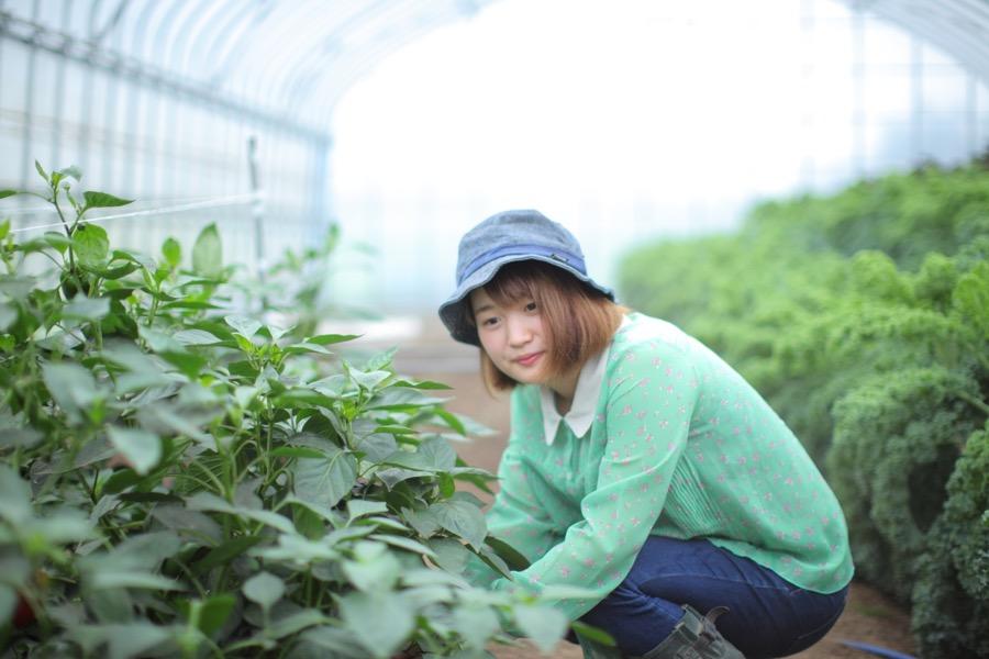 未来につなぐ農園の様子